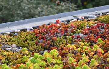 the cost of Conyers Green green roof installation
