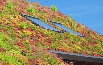 Conyers Green living roof systems