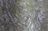 Conyers Green fibreglass roof work